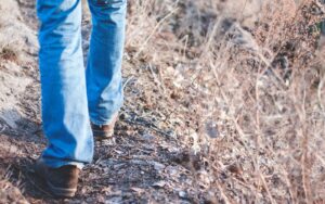 Read more about the article Learning to Walk